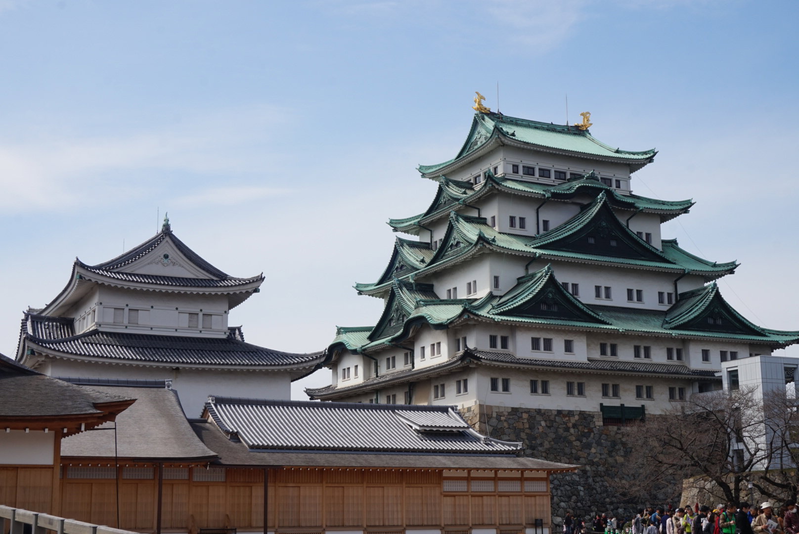 AndyHotDog 分享的打卡照片